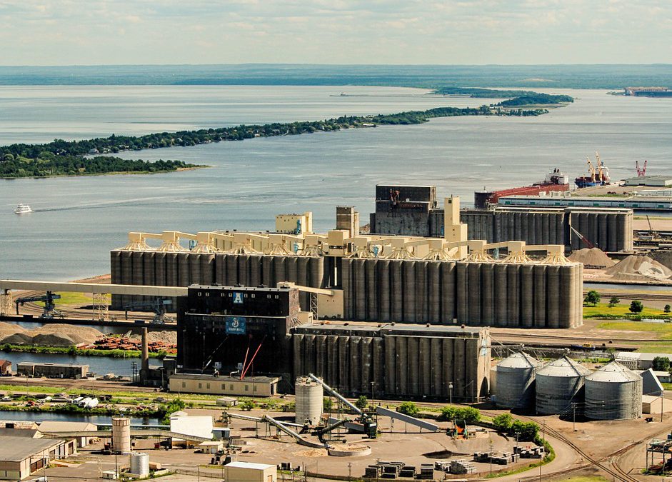 Logistics should be a key area of focus for South Africa’s agriculture