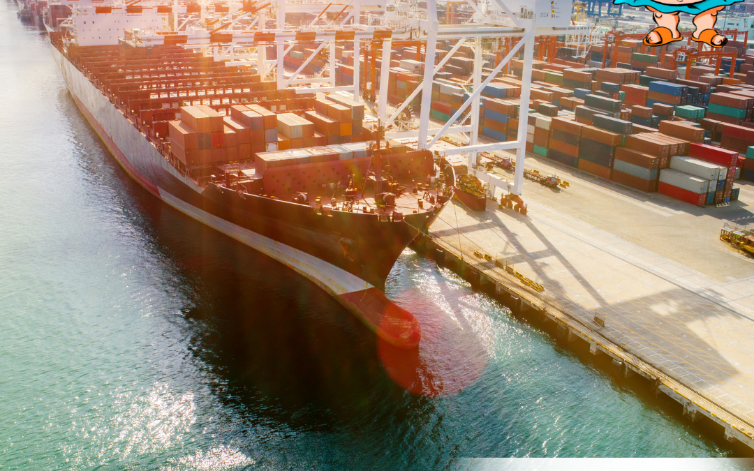 Major congestion at South African Ports, primarily Durban