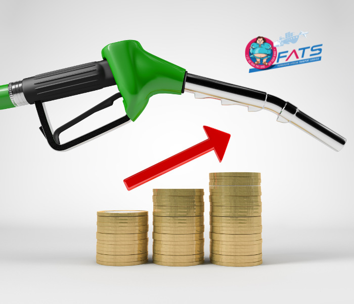 Dark times ahead as fuel price dampens festive season